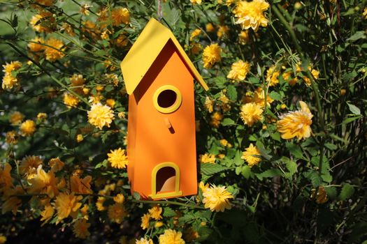 The picture shows a bird house in the tree.