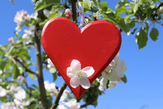 The picture shows a red heart in the apple tree.