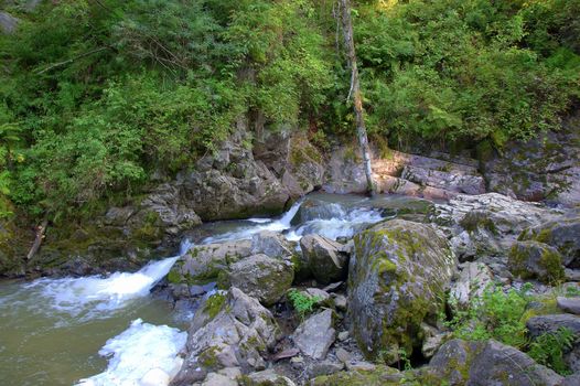 The mountain river forms a backwater, breaks through the stones with a small waterfall. Altai, Siberia, Russia.