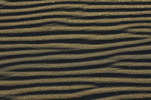 Smooth undisturbed wind ripple pattern in soft beach sand, Mossel Bay, South Africa