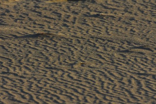 Wind and water ripple line pattern in soft beach sand creating a natural optical illusion, Mossel Bay, South Africa