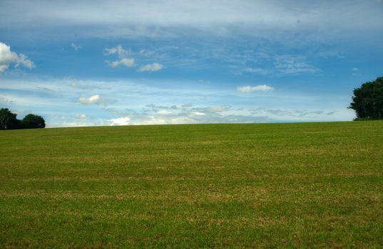 Green grass field and blue cloudy sky