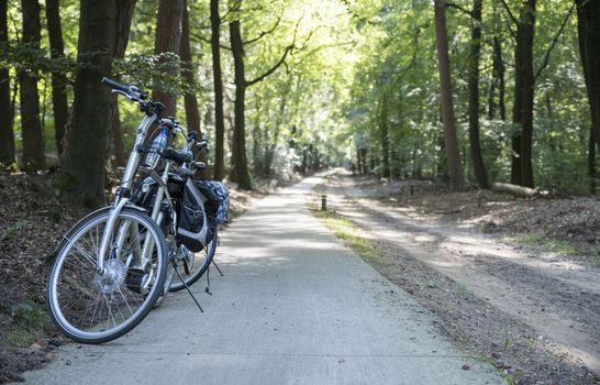 two bike in the forest during a bike trip in national park de veluwe in holland