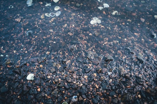 The Sea water and sea stones. Clear sea water and sea stones