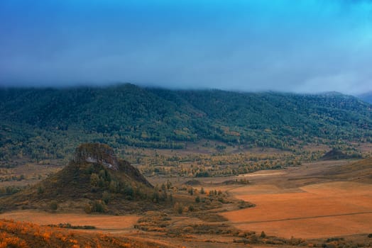 Amazing view of the autumn day with orange trees and grass in Altay mountain