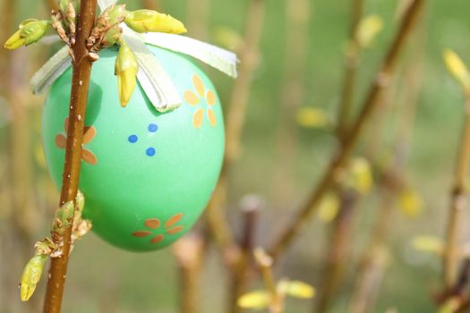 The picture shows an easter egg in the forsythia.