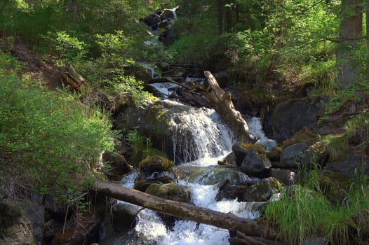 A small river, bending around fallen trees, flows from the mountains with a stormy waterfall. Altai, Siberia, Russia.