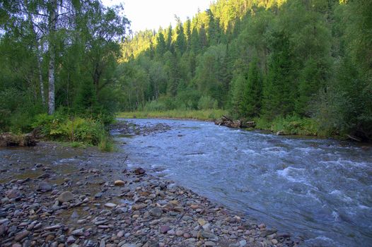 Morning view of a rocky stormy river flowing through the forest.