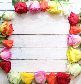 The picture shows a border with colorful roses.