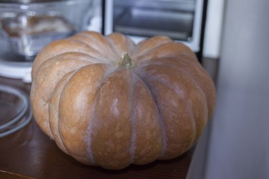 Pumpkin resting on the shelf of a home cooking