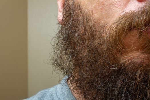 close up of a scruffy mans beard