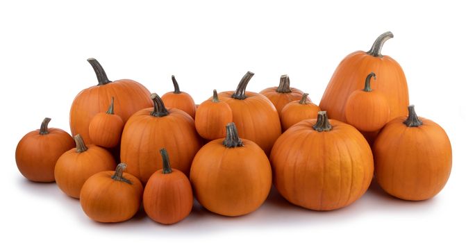 Heap of many orange pumpkins isolated on white background , Halloween concept