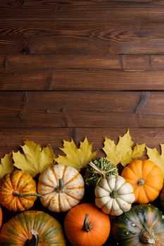 Striped yellow and orange pumpkins and dry maple autumn leaves on wooden background, top view, Halloween concept