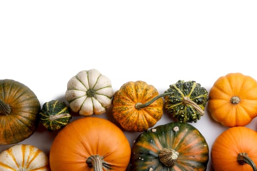 Many orange pumpkins isolated on white background , Halloween concept , top view with copy space