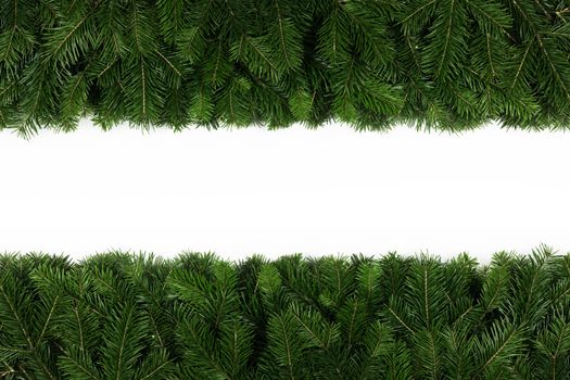Natural fir Christmas tree border frame isolated on white , copy space for text