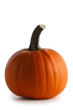 One perfect pumpkin isolated on white background