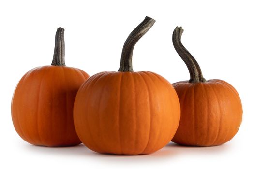 Three perfect pumpkins isolated on white background