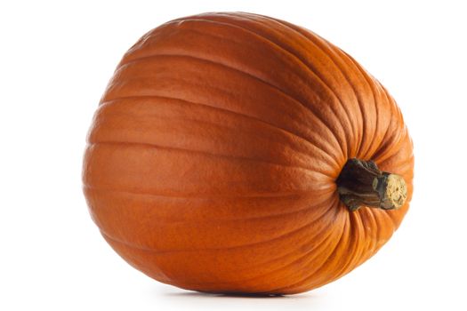 One perfect pumpkin isolated on white background