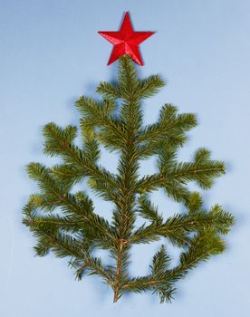 Christmas tree natural spruce branch and red star on blue background