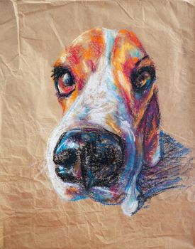 Pastel color painting of adorable beagle dog in funny face on brown paper.