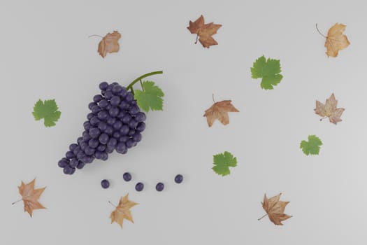 autumn scene with bunch of black grapes and dry leaves