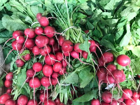Fresh Red Radishes Exposed For Sale In Supermarket