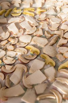 Drying mushrooms on white background, dry mushrooms