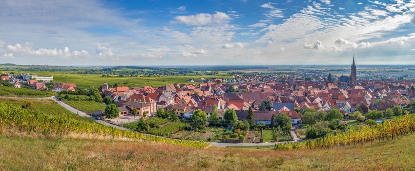 Panoramic view of  Dambach la Ville from the hill with vineyard, Alsace, France