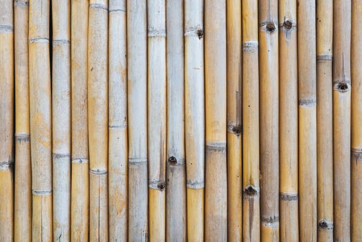 Weathered bamboo fence texture or background