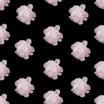 Floral seamless pattern. Light pink peony roses on black isolated background.