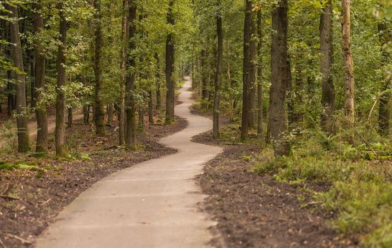 winding hiking trail through the forests of the Veluwezoom nature park