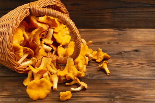 Wicker basket with chanterelles over an old wooden table.