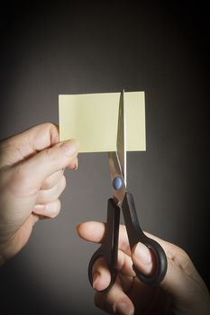 Female hands with scissors and a sheet of paper