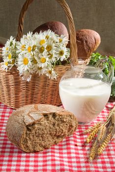 Different kinds of bread on a studio background