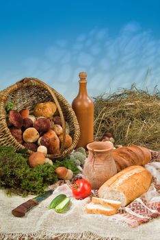 Different kinds of bread on a studio background