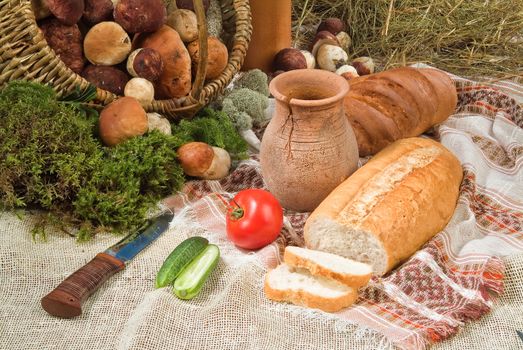 Different kinds of bread on a studio background