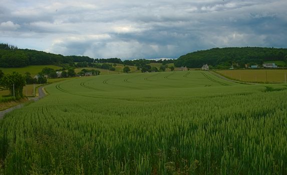 Wheat field and cloudy sky at peaceful rural Normandy