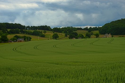 Wheat field and cloudy sky at peaceful rural Normandy