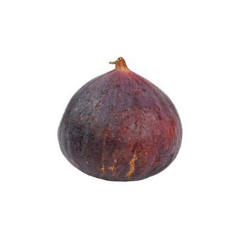 Close up one fresh whole ripe fig fruit isolated on white background, low angle side view