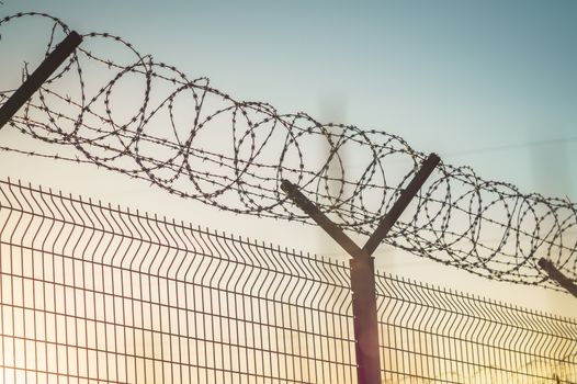 barbed wire steel wall against the immigrations in europe