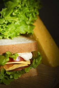 Bright juicy sandwich with herbs and tomatoes on a cutting board