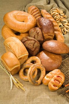 Different kinds of bread on a studio background