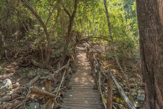 A wooden pedestrian bridge on the waterfall trail in the Blyde River Canyon