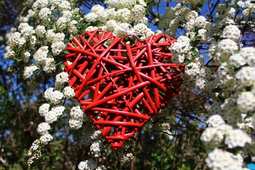 The picture shows a red heart in the snowberry bush.