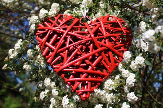 The picture shows a red heart in the snowberry bush.