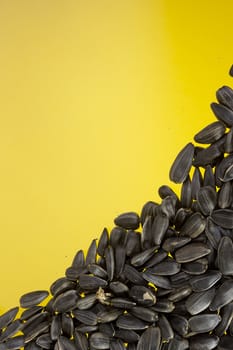 A lot of sunflower seeds on a yellow background