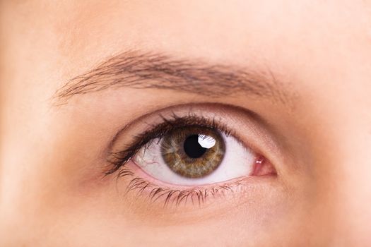 A close up shot of a healthy female eye and eyebrow without make up.