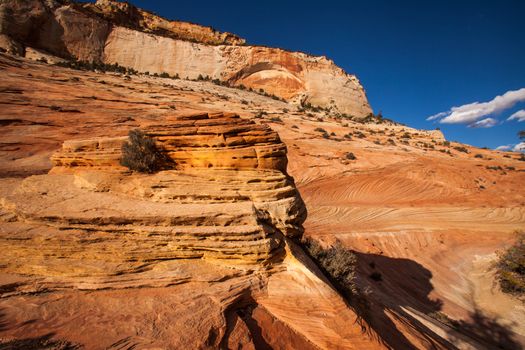 Nevada Sandstone with crossbedding in Zion National Park. Utah. USA