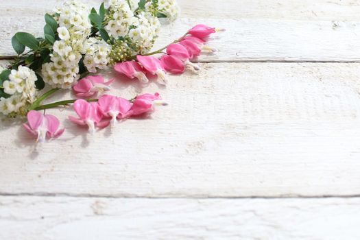 The picture shows spring flowers on white boards.