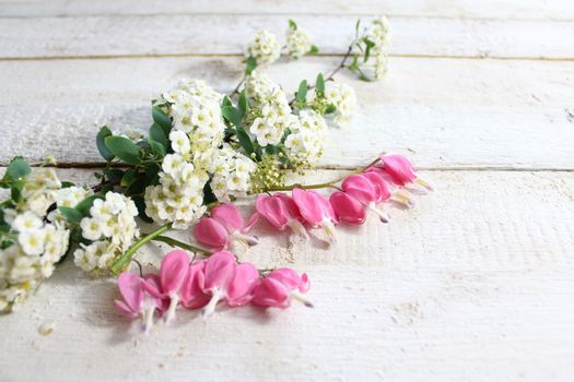 The picture shows spring flowers on white boards.